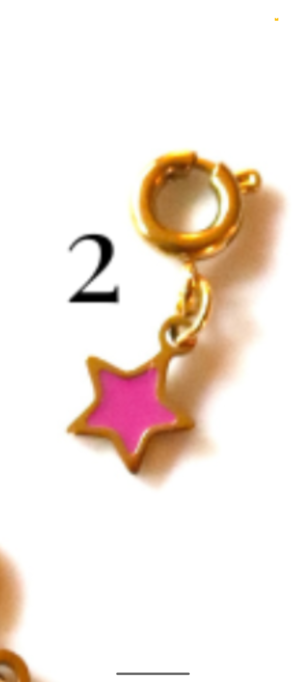 Stainless Steel Gold Plated Pink Collection Charms