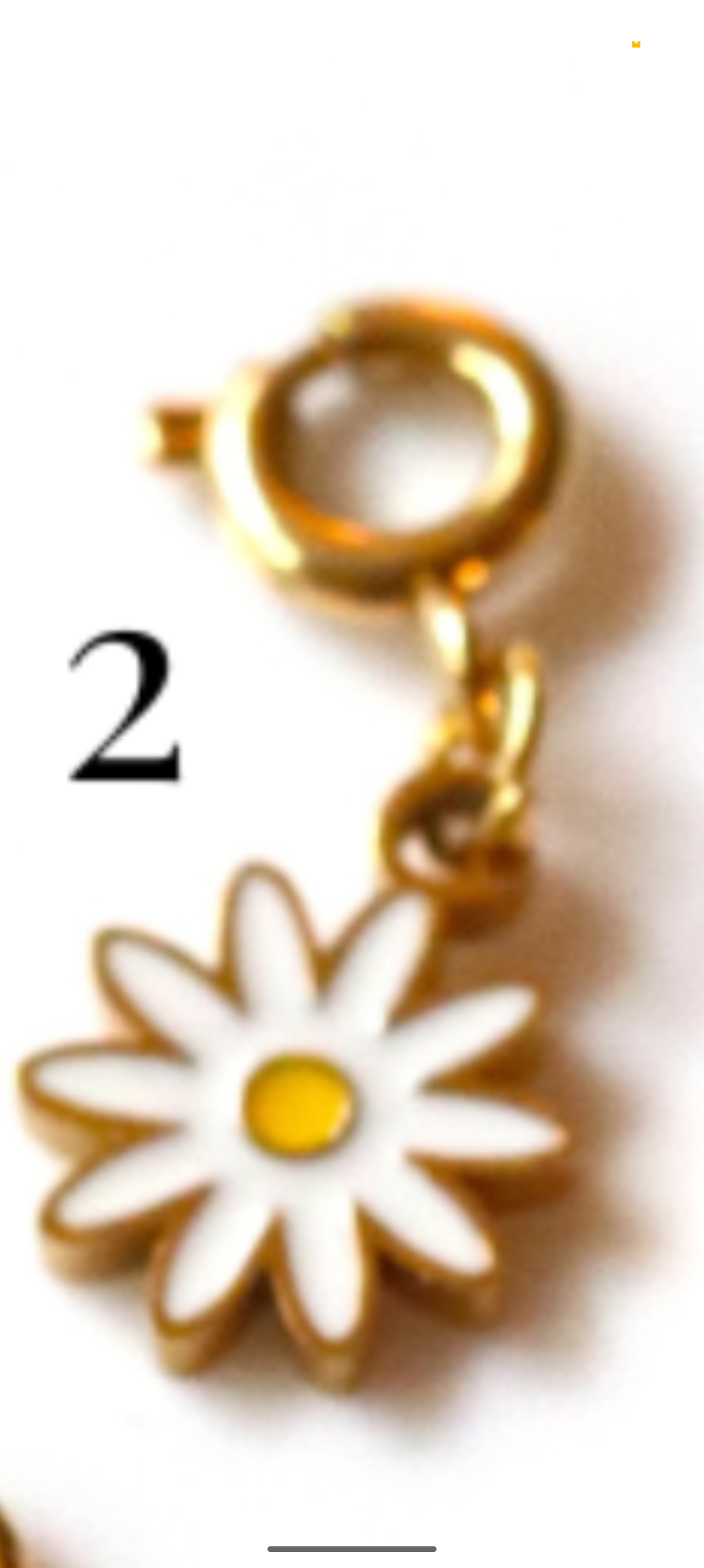 Stainless Steel Gold Plated Groovy Charms