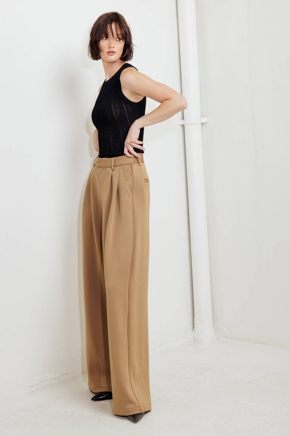 Solid Camel Trouser Pant