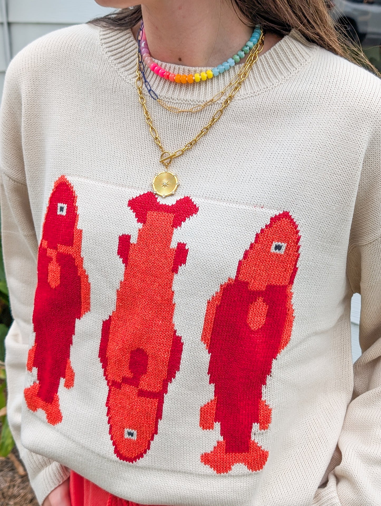 Iggy Fish Sweater