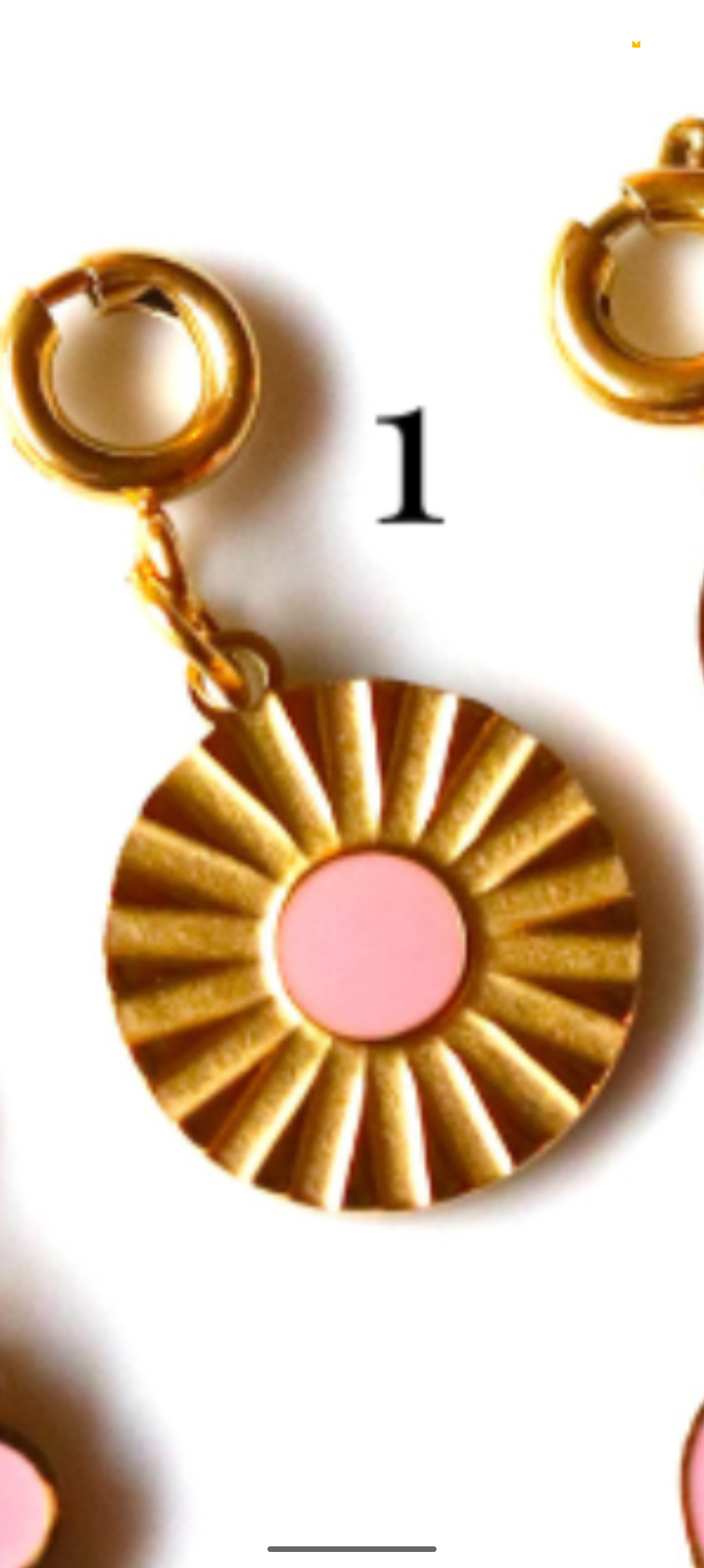 Stainless Steel Gold Plated Light Pink Collection Charms