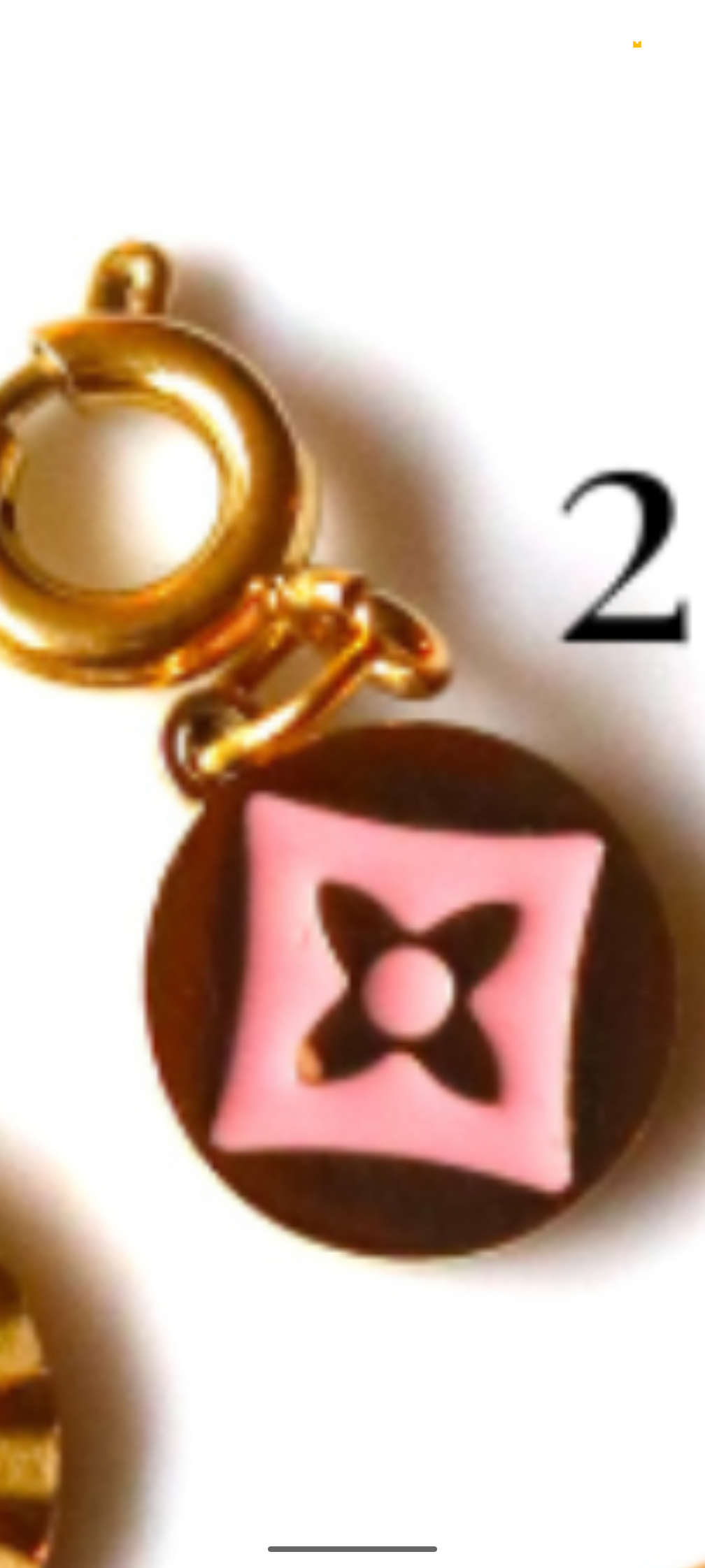 Stainless Steel Gold Plated Light Pink Collection Charms
