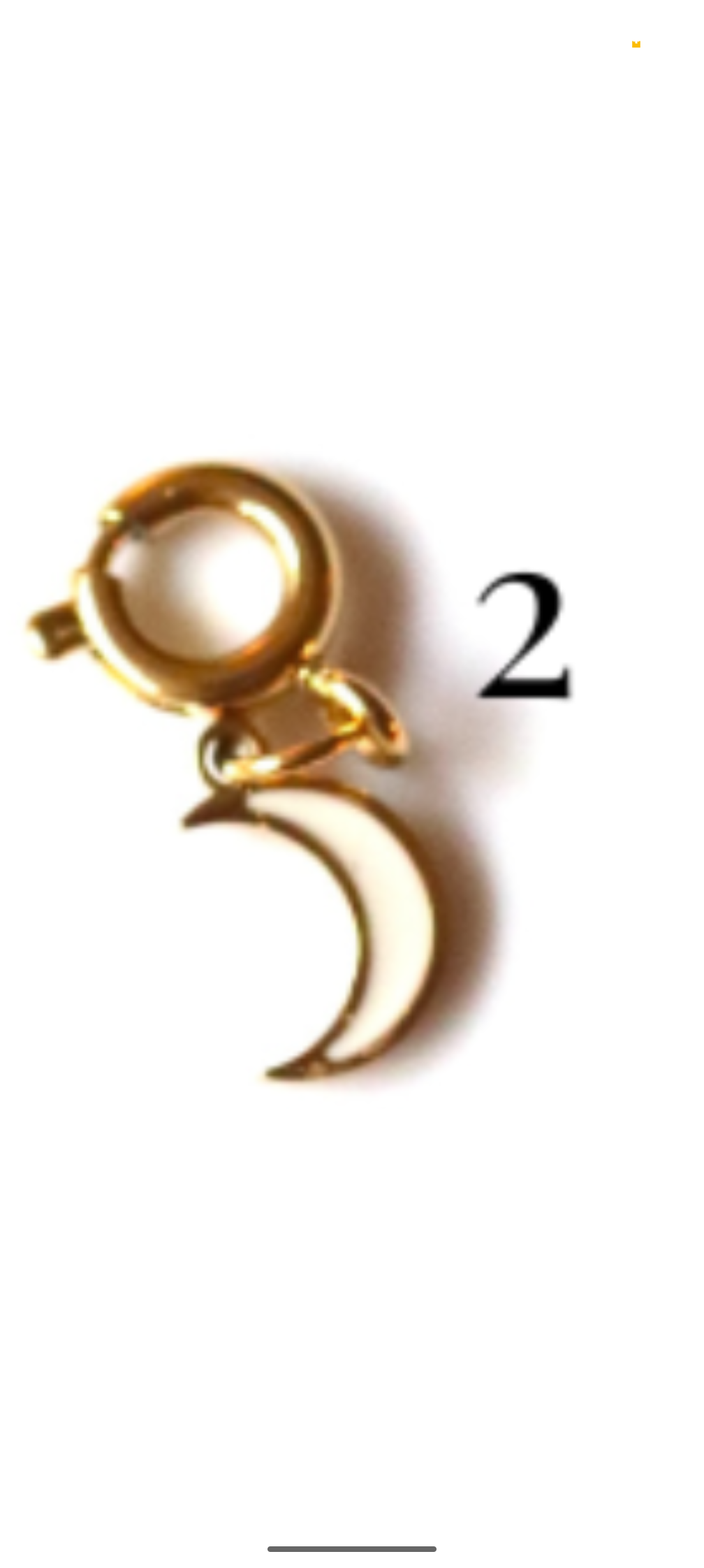 Stainless Steel Red and Black Collection Charms