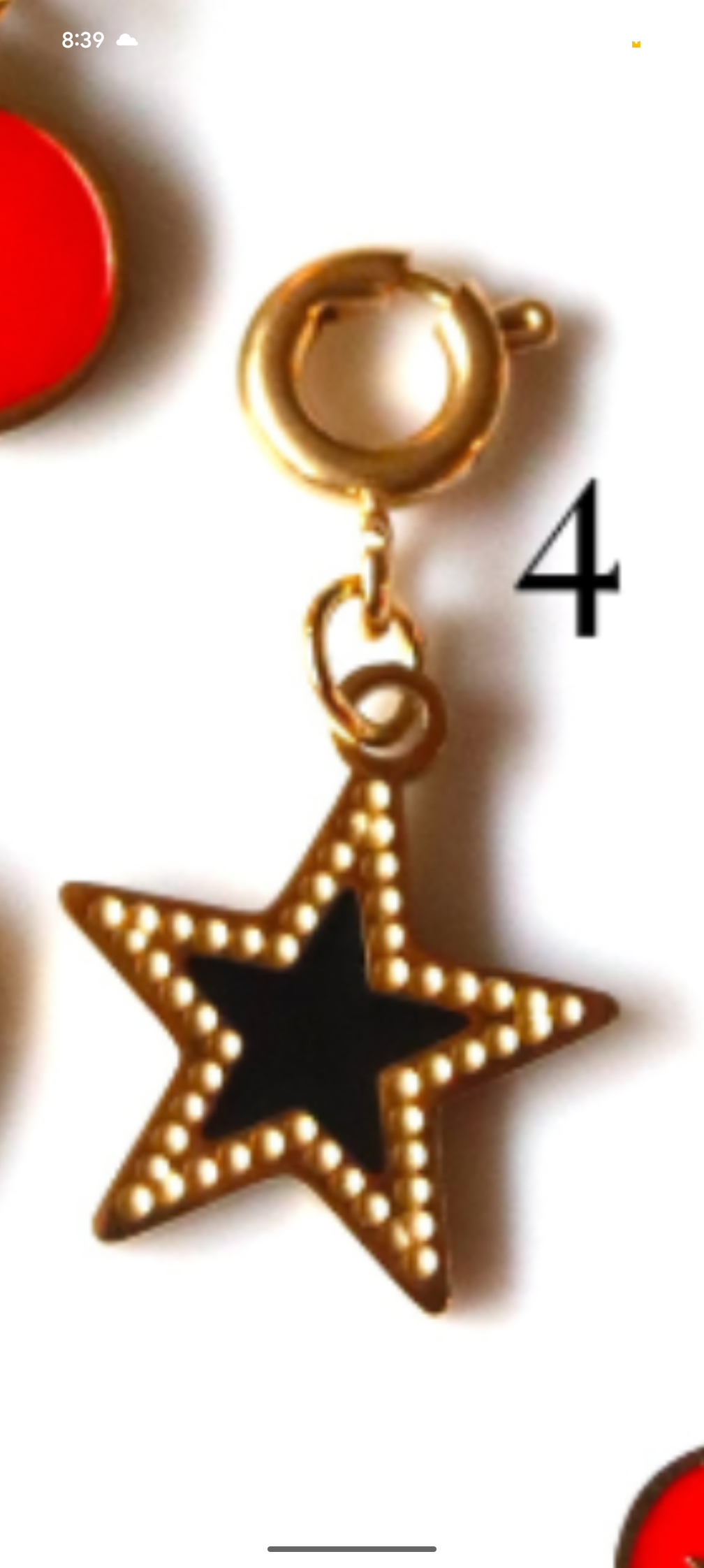 Stainless Steel Red and Black Collection Charms