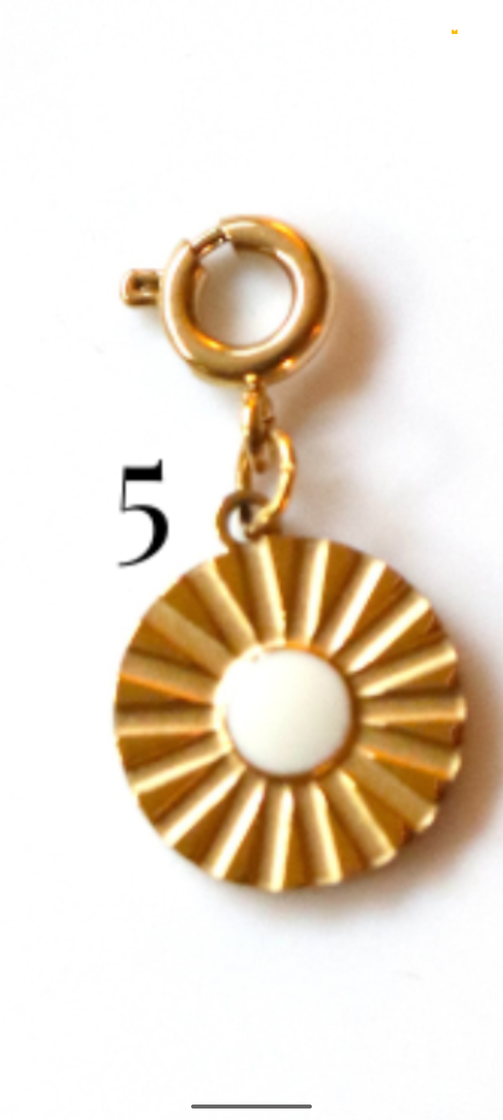 Stainless Steel Clippable Black and White Collection Charms